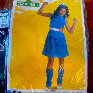 Sesame Street Cookie Monster Costume Teen XL 14-16